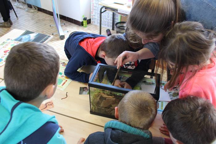 Les enfants observent les petites bêtes dans un terrarium de l'ICES