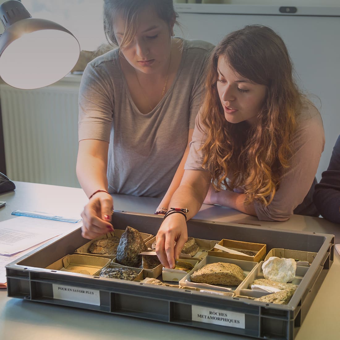 ICES : licence Sciences de la vie