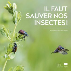 Il Faut Sauver Nos Insectes