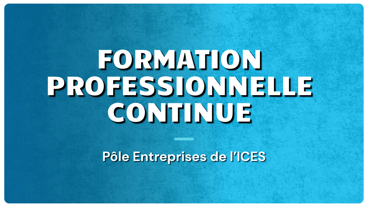 formation professionnelle continue