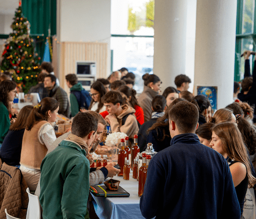 Vue générale des stands du marché de Noël de l'ICES