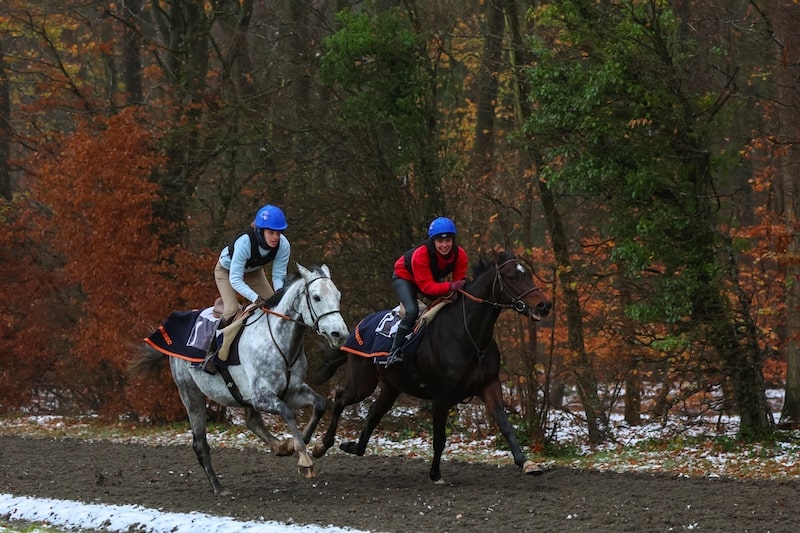 Aurore, Cavalière icessienne, sur son cheval au galop