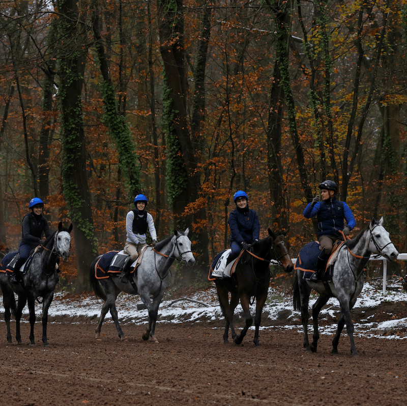 Aurore, jeune cavalière et étudiante icessienne, sur son cheval au pas.
